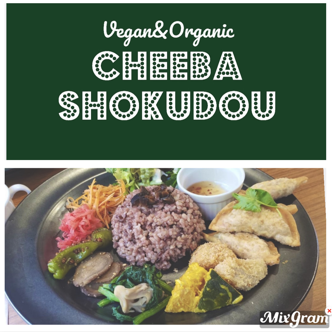 Vegan & Organic Cheeba Shokudou